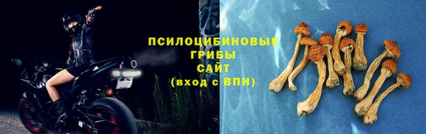 прущие крисы Балабаново