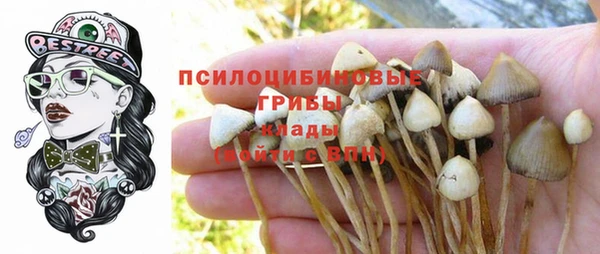 прущие крисы Балабаново